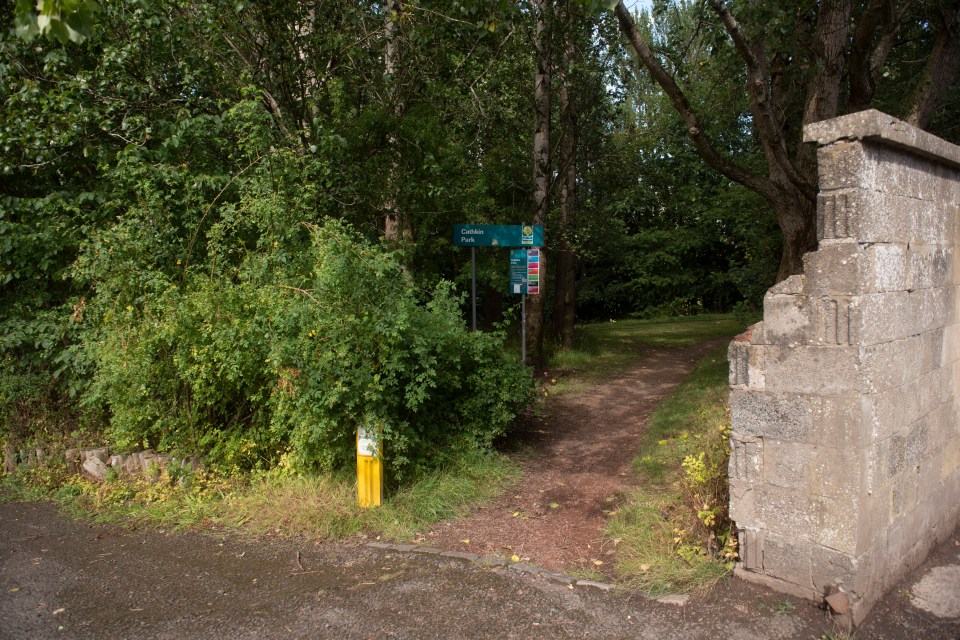 Старые трибуны заросли листвой